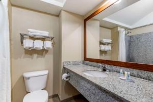 Koupelna v ubytování Comfort Inn & Suites