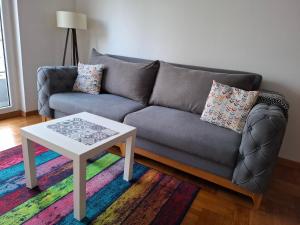a living room with a couch and a coffee table at Dina's Place in Podgorica +8 photos