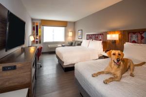 Letto o letti in una camera di Hampton Inn Pullman