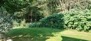 a garden with trees and a field of grass at Ferienhaus "Haus Bethlehem" Käthe Schmidt in Papenburg