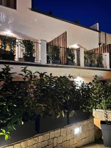 Zahrada ubytování Longevity Hotel