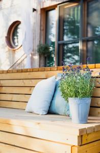 a potted plant sitting on a wooden bench at Wohnwagon BALU in Apetlon