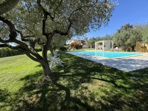 un arbre assis dans l'herbe à côté d'une piscine dans l'établissement Villa Helvetia, à Corropoli