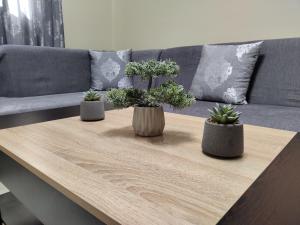 A seating area at Silver Pearl Apartment