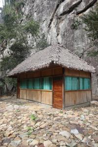 Příroda nedaleko kempu