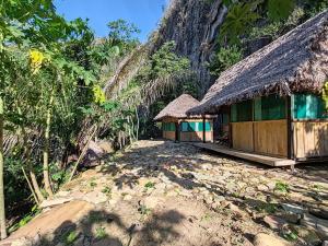 Příroda nedaleko kempu