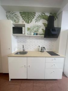 Kuchyň nebo kuchyňský kout v ubytování Apartament Solny Wieliczka Centrum 3