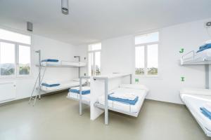 Postel nebo postele na pokoji v ubytování Albergue Sa Vinyeta