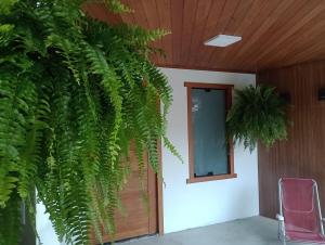 Um jardim em Pousada Recanto das Águas