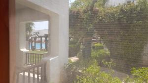 Delta Sharm pool view Studio Shahrazad外面的花园
