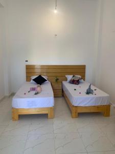 two beds sitting next to each other in a room at Villa Elhag Nile View in Luxor
