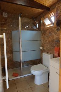 un bagno con wc e doccia di Ocean View Cottage a Ponta do Pargo Altre 20 foto