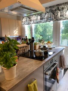 a kitchen with a stove and a counter top at Villa Saimaan Sydän in Puumala