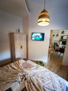 Televiisor ja/või meelelahutuskeskus majutusasutuses Apartment Relić