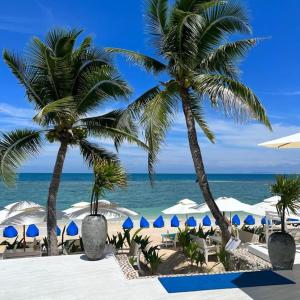 - une plage avec des palmiers, des parasols et l'océan dans l'établissement TropiCoco Beach Resort Koh Phangan, à Haad Yao