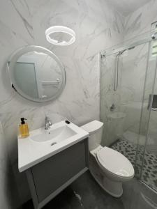 a bathroom with a toilet and a sink and a mirror at 3-Bedroom House in Quebradillas in Quebradillas +48 photos