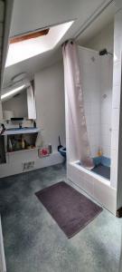 a bathroom with a shower with a toilet in it at Studio centre ville Schirmeck in Schirmeck