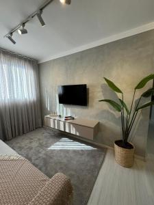 sala de estar con TV y maceta en Apartamento moderno próximo ao SESC, en Franca