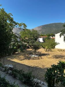 a view of a yard with trees and houses at Palazzo De Michele in Raiano +18 photos