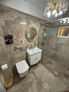 a bathroom with a toilet and a sink and a mirror at RIN HOUSe 1 in Drobeta-Turnu Severin