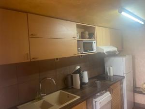 a kitchen with a sink and a microwave at Dunavska Kuća in Smederevo