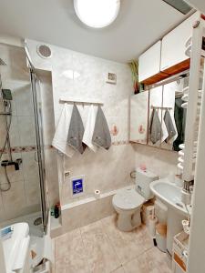 a bathroom with a toilet and a shower and a sink at BaSoTo in Sopot