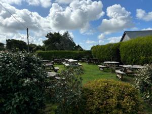 The Cornish Arms Inn外面的花园