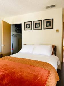 Postel nebo postele na pokoji v ubytování The Overlook at Chiricahua National + 52 fotografií