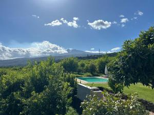 Príroda v okolí vily