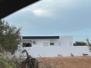 Fotografie z fotogalerie ubytování BH Home v destinaci Houmt Souk