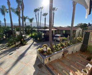 a view of a house with palm trees and cactuses at Urban Home in Pompei