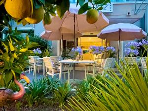 Hotel Alfieri外面的花园