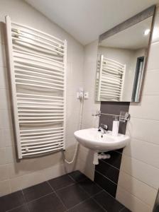 a bathroom with a sink and a mirror at Apartmán Stratos in Ostružná