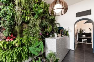 Kuchyň nebo kuchyňský kout v ubytování Luxury B&b Euphorbia
