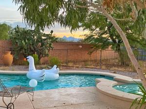 a pool with two rubber ducks in the water at Lazy H Bar Desert Outpost Ranch House with Pool and Hot Tub in Tucson
