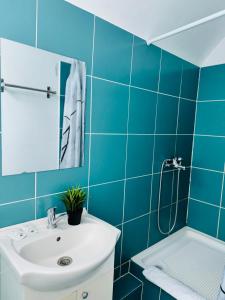 a blue bathroom with a sink and a shower at Schei Braşov-Скей Брашов in Braşov +28 photos