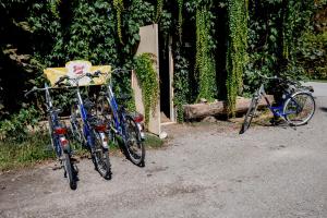 在金肯巴赫穆尔旅馆内部或周边骑自行车