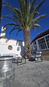 palma obok budynku z dwoma ławkami w obiekcie Villa La Era w mieście Fuencaliente de la Palma