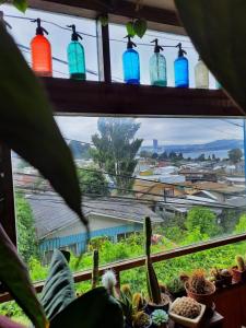 une fenêtre avec des bouteilles en verre colorées dans une pièce avec des plantes dans l'établissement Casa Colores, à Puerto Montt 9 autres photos