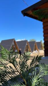シュコダルにあるWindmill Shkodra Villa's & Gesthouseのギャラリーの写真