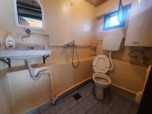 een badkamer met toilet en wastafel bij Luccia Apartments - Country House at Monastery Saint Naum in Ohrid +45 foto's