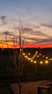Un árbol con luces en una valla al atardecer. en Chácara Pôr do Sol, en Campo Alegre