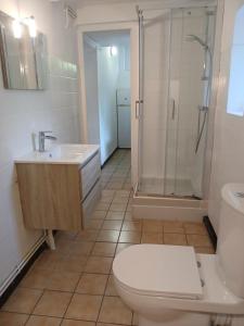 a bathroom with a shower and a toilet and a sink at Château de Maucouvent in Nevers +36 photos
