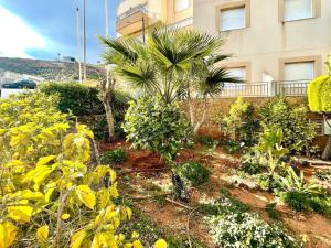 Vonkajšia záhrada v ubytovaní Apartment in Aguadulce near La Envia Golf