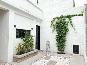 Una casa blanca con plantas a los lados. en Loft del Río Honda - Apartaestudio completo con parqueadero y aire acondicionado, en Honda