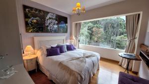 a bedroom with a bed with purple pillows and a large window at Pousada Atalaia Premium in Campos do Jordão