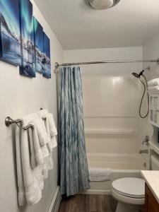 a bathroom with a shower curtain and a toilet at Northern Knights in Fairbanks +47 photos