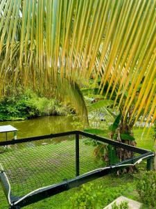 Foto de la galería de Mulata Ecohabs en La Mesa