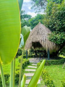 Foto de la galería de Mulata Ecohabs en La Mesa