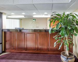 a potted plant in front of a waiting room at Quality Inn Reidsville Hwy 29 in Reidsville